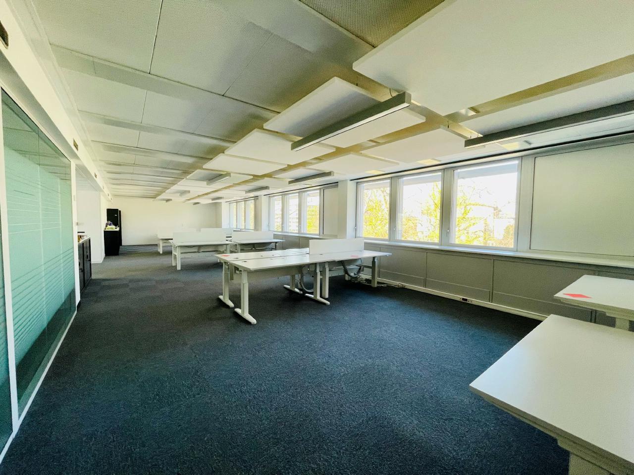 Bureau Strasbourg 2442m² Location bureau Strasbourg Bas-Rhin OLBUR2310518 8